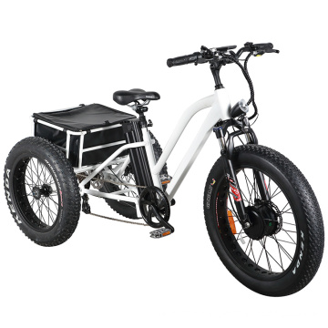 Aluminum Alloy Frame Electric Tricycle